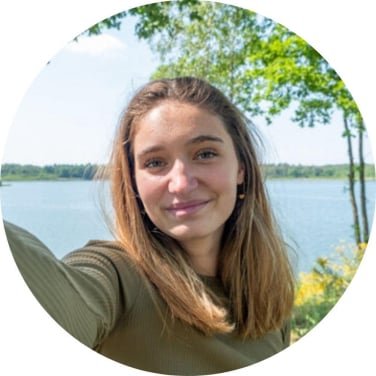 Tesla Wealth Script Review